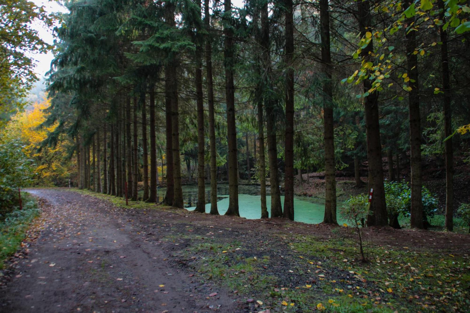 Fh "Baeren Ecke" Am See Im Hessischen Bergland Kirchheim  Luaran gambar