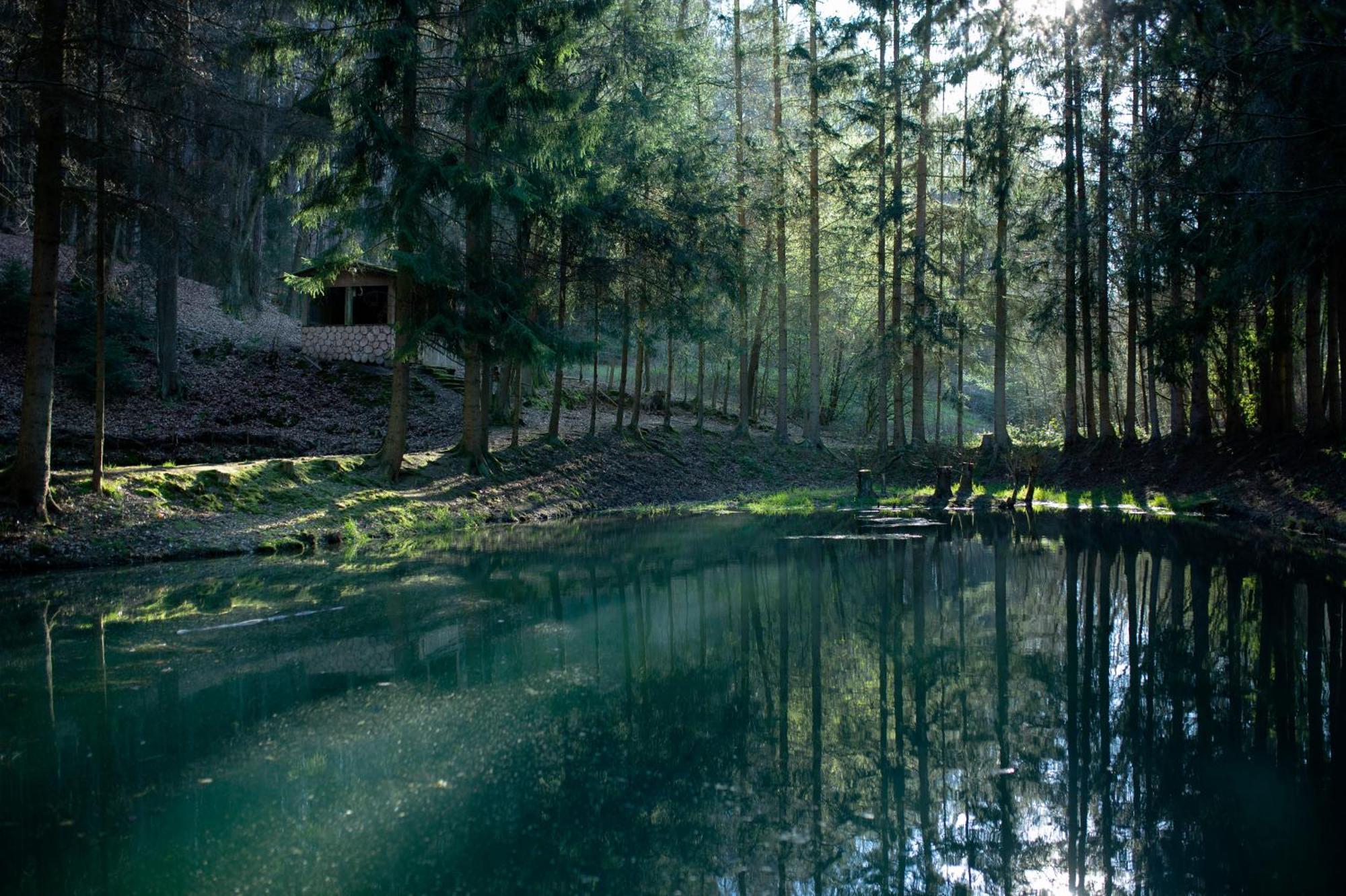 Fh "Baeren Ecke" Am See Im Hessischen Bergland Kirchheim  Luaran gambar